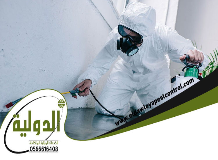 شركة رش البطحة بجدة