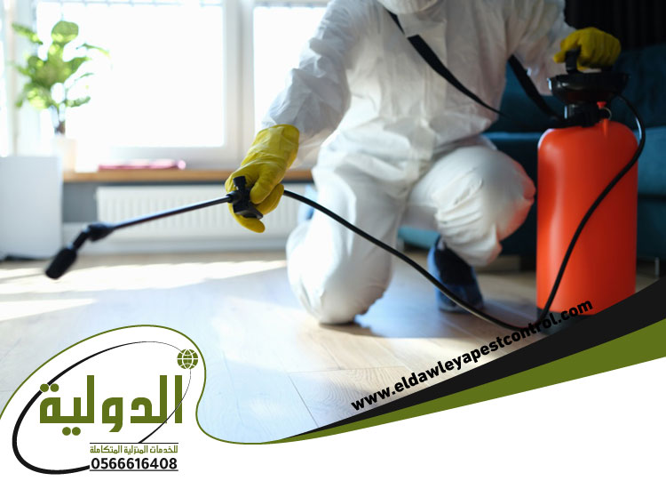 شركة رش مبيدات داخل جدة