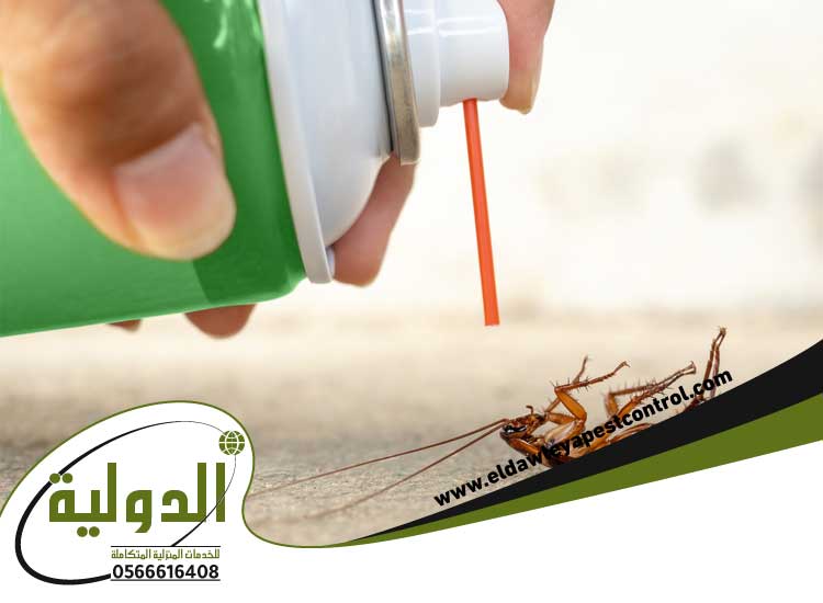 كيفية تنظيف المطبخ الخشب من الصراصير