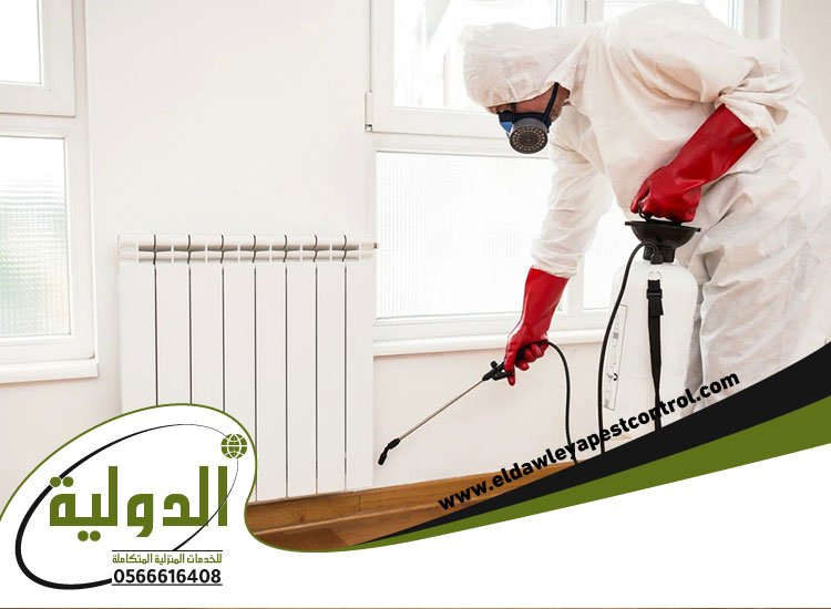 شركة مكافحة البعوض بجدة