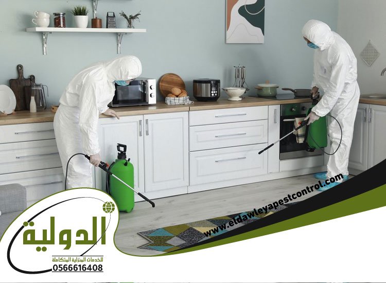 شركة مكافحة البعوض بجدة