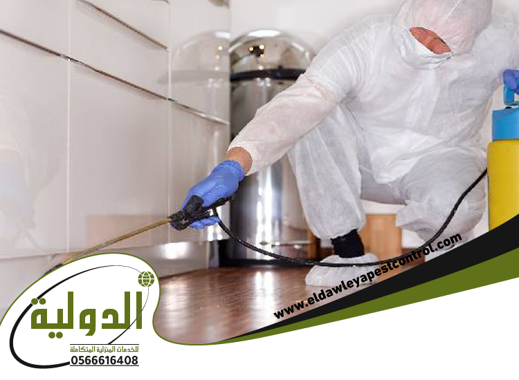 شركة رش البطحة بجدة