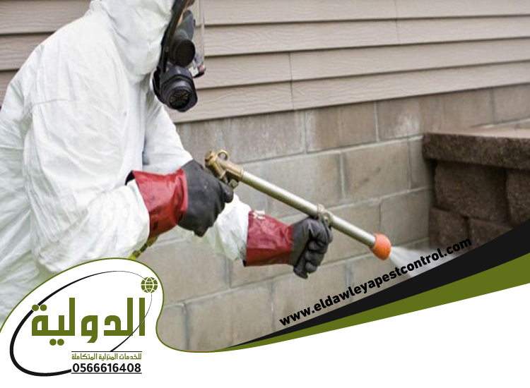 شركة رش البطحة بجدة