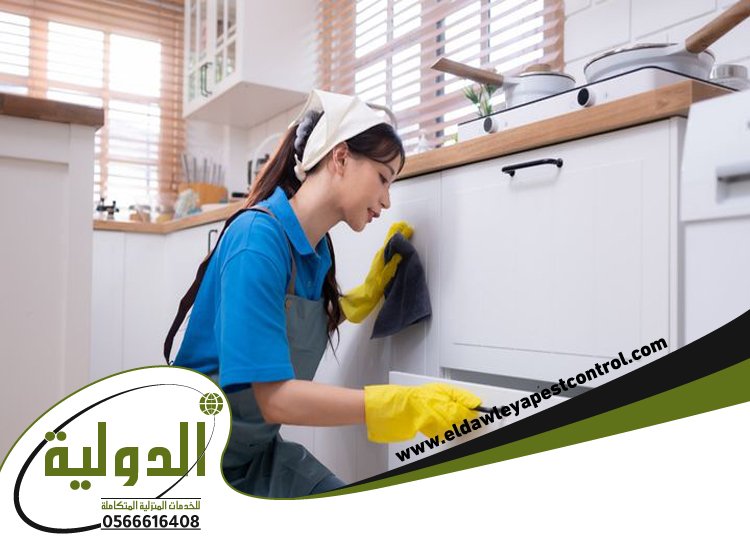 تنظيف بالبخار