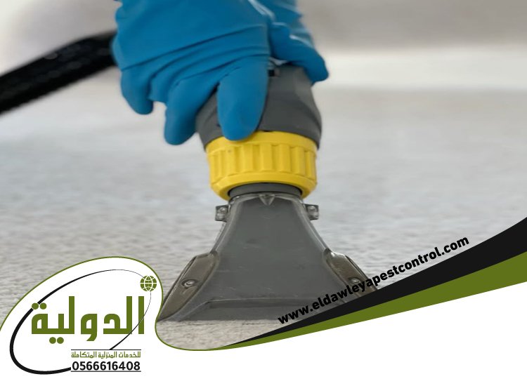 شركة مكافحة الفئران بجدة
