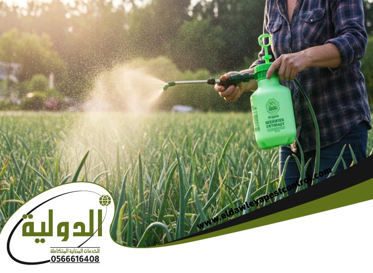 شركة رش البطحاء قبل البناء بجدة 5 شركة رش البطحاء قبل البناء بجدة