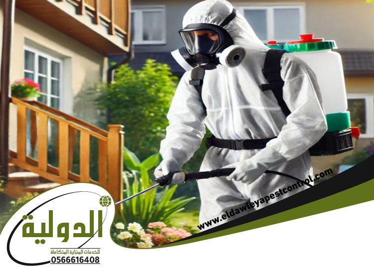 شركة مكافحة حشرات بالقنفذه 3 شركة مكافحة حشرات بالقنفذه