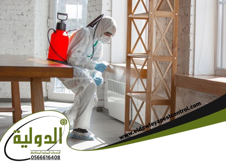 شركة مكافحة حشرات بخليص 46 خدمات المملكة