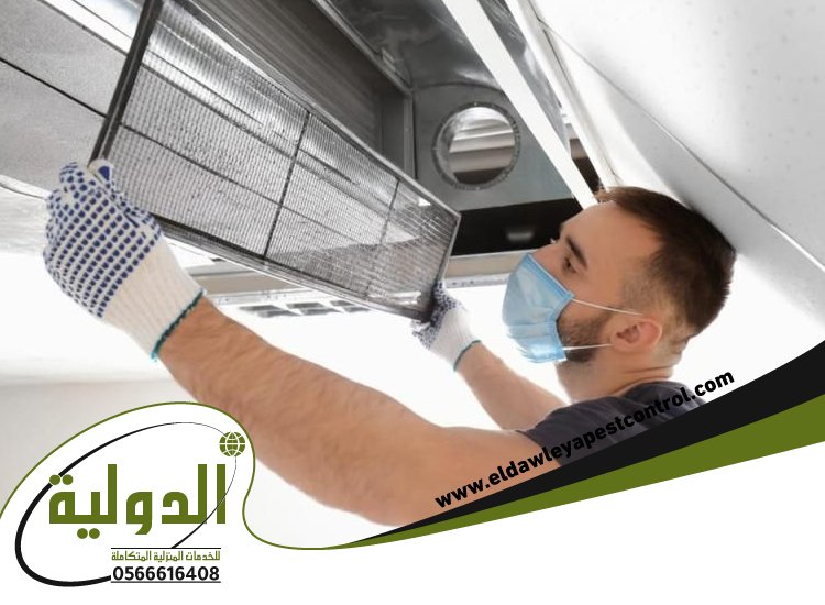 شركة مكافحة الفئران بجدة