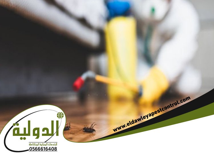 شركة مكافحة حشرات بخليص 3 شركة مكافحة حشرات بخليص