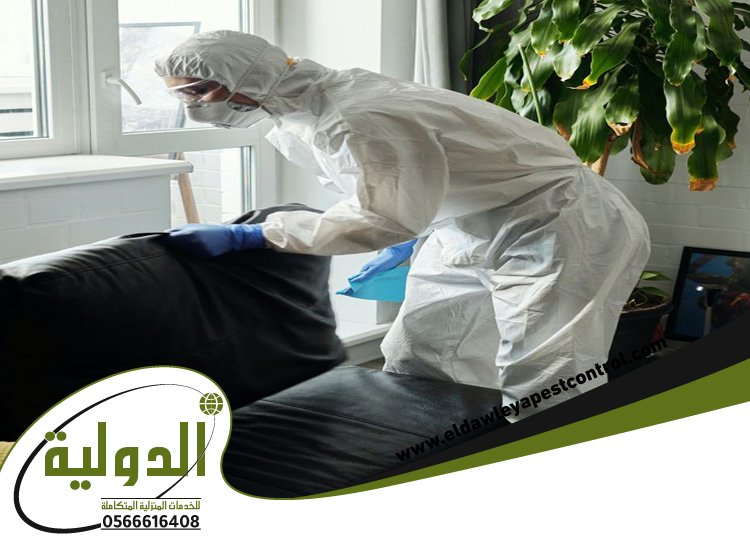 شركة مكافحة الارضة بالجموم 4 شركة مكافحة الارضة بالجموم