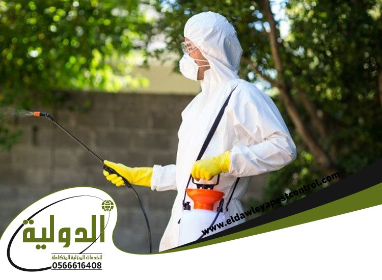 شركة مكافحة الارضة بالجموم 3 شركة مكافحة الارضة بالجموم