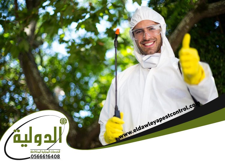 شركة مكافحة الارضة بخليص 3 شركة مكافحة الارضة بخليص