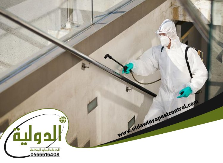 شركة مكافحة حشرات بخليص 5 شركة مكافحة حشرات بخليص