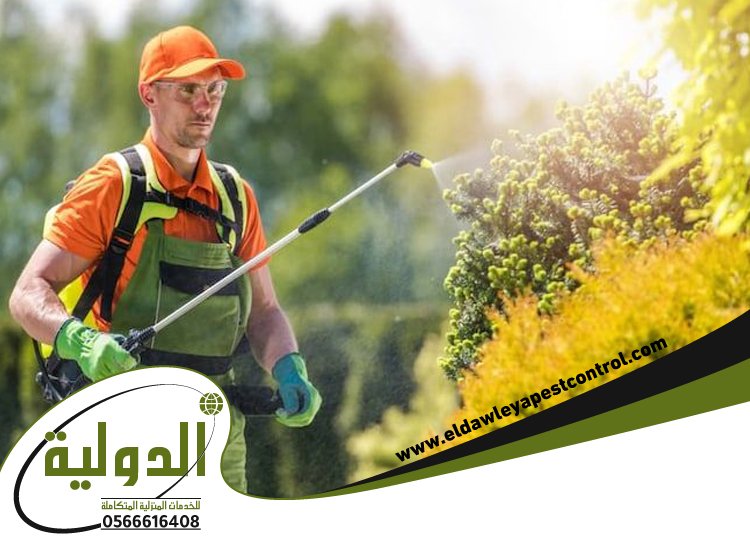 شركة رش دفان بمكة 4 شركة رش دفان بمكة