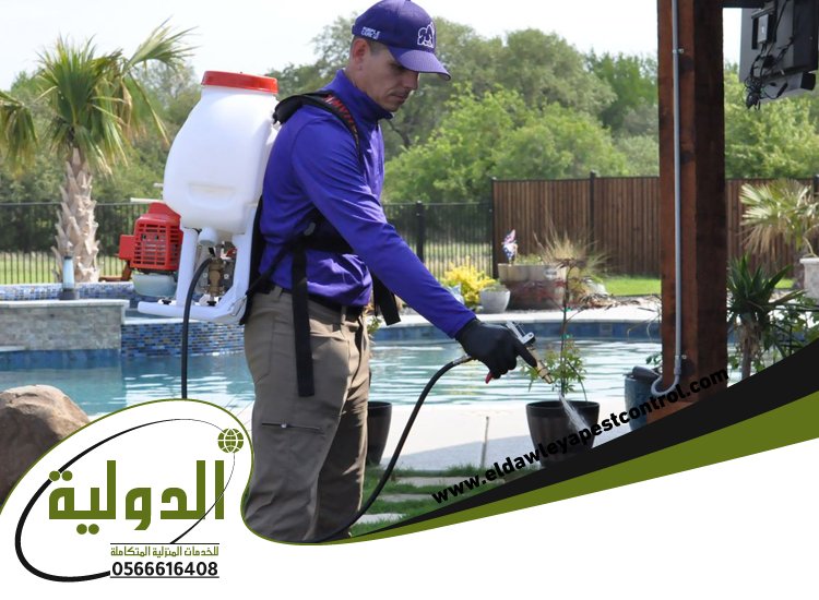 شركة رش دفان بمكة 3 شركة رش دفان بمكة