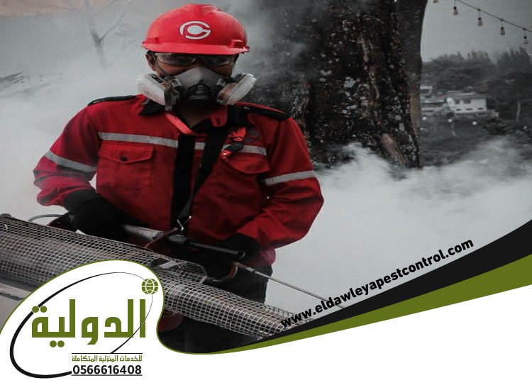 شركة مكافحة الحشرات بالدخان بجدة 3 شركة مكافحة الحشرات بالدخان بجدة