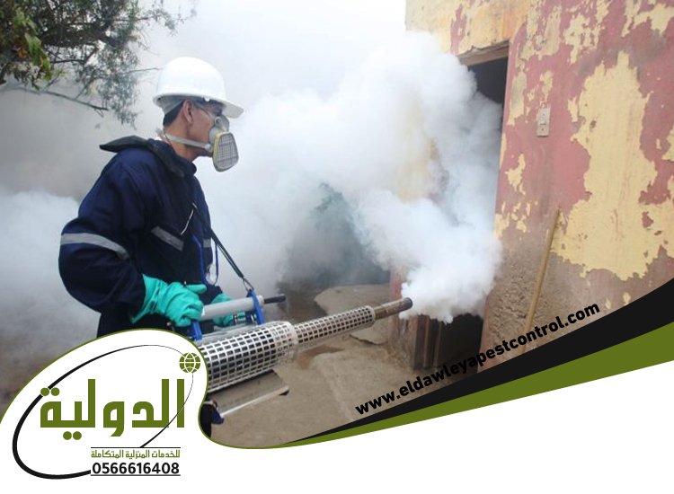 شركة مكافحة الحشرات بالدخان بجدة 9 شركة مكافحة الحشرات بالدخان بجدة