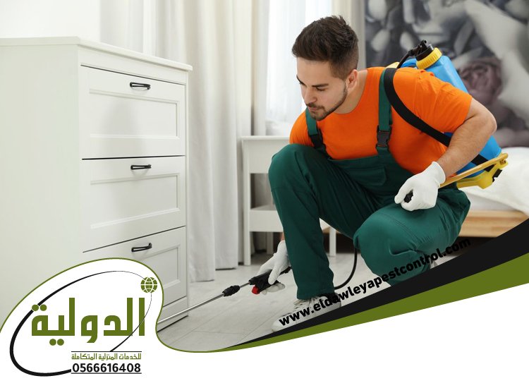 شركة مكافحة حشرات بجدة 21 شركة مكافحة حشرات بجدة