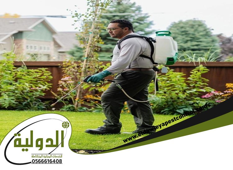 شركة مكافحة حشرات بجدة 4 شركة مكافحة حشرات بجدة