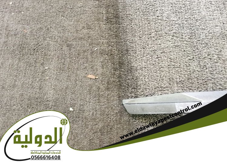شركة تنظيف موكيت بمكة 9 تنظيف بالبخار