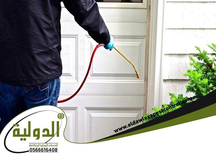 شركة مكافحة حشرات بعسفان 9 خدمات المملكة
