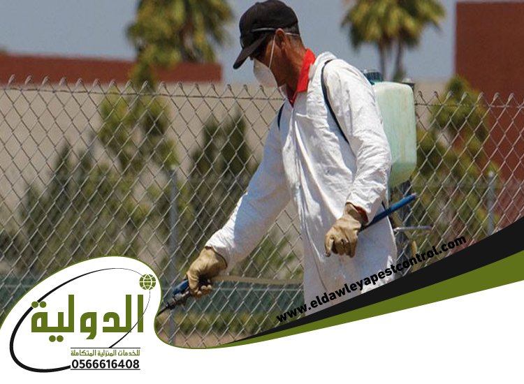شركة مكافحة حشرات بعسفان 3 شركة مكافحة حشرات بعسفان