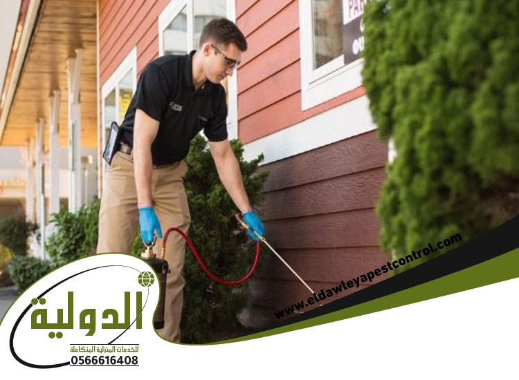 شركة مكافحة حشرات بعسفان 4 شركة مكافحة حشرات بعسفان