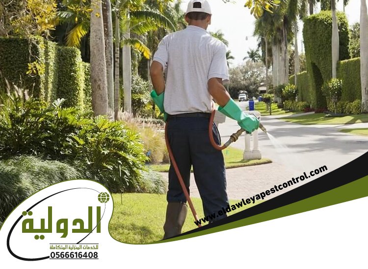 شركة مكافحة حشرات بعسفان 5 شركة مكافحة حشرات بعسفان
