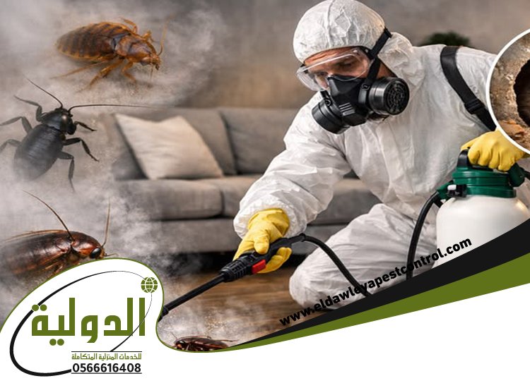 شركة مكافحة الصراصير بينبع 5 شركة مكافحة الصراصير بينبع