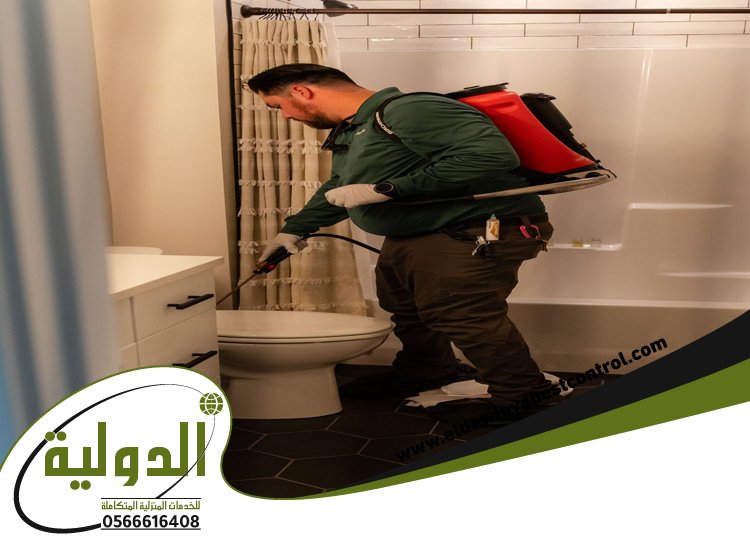 شركة مكافحة حشرات حي الزهراء 81 خدمات المملكة