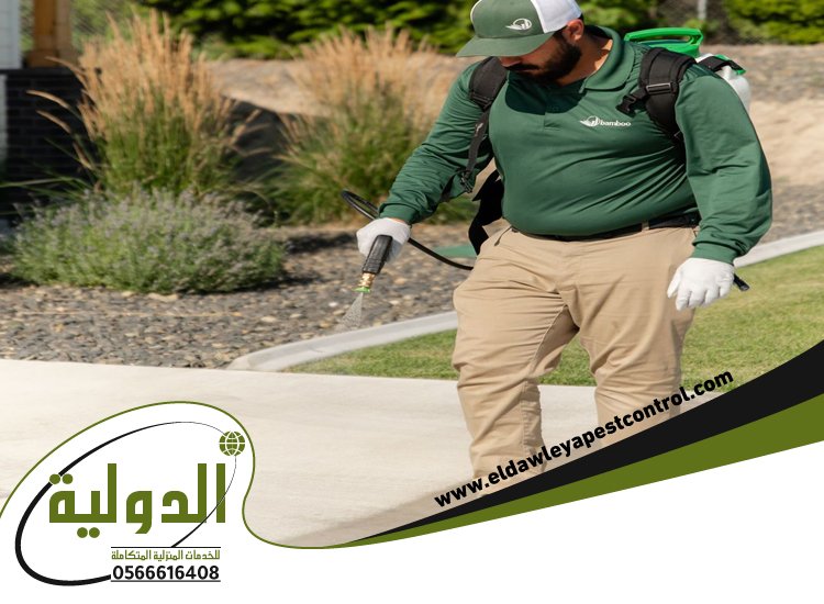 شركة مكافحة حشرات حي الزهراء 4 شركة مكافحة حشرات حي الزهراء