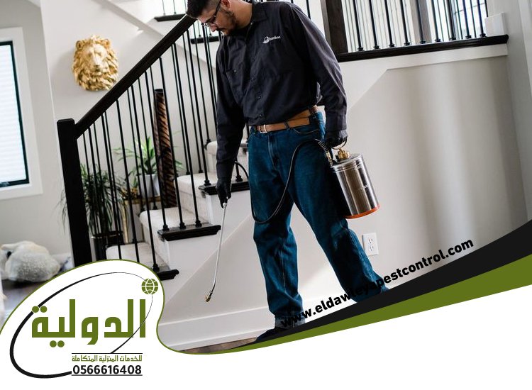 شركة مكافحة حشرات حي الزهراء 5 شركة مكافحة حشرات حي الزهراء