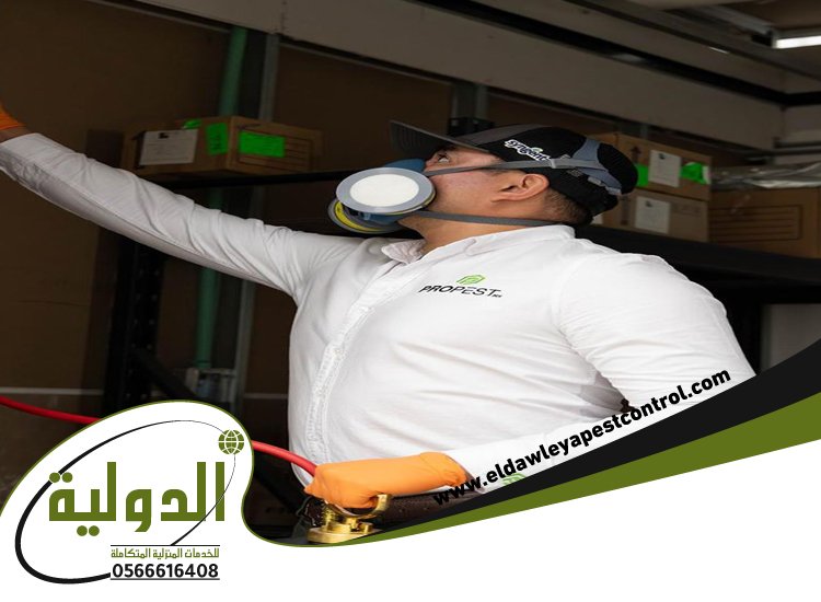 شركة مكافحة حشرات حي الزهراء 3 شركة مكافحة حشرات حي الزهراء