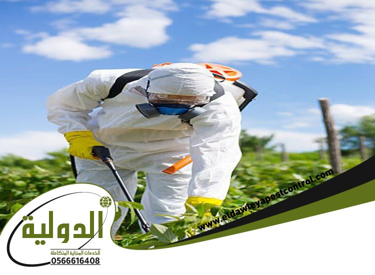 شركة مكافحة حشرات بحي السنابل 3 شركة مكافحة حشرات بحي السنابل