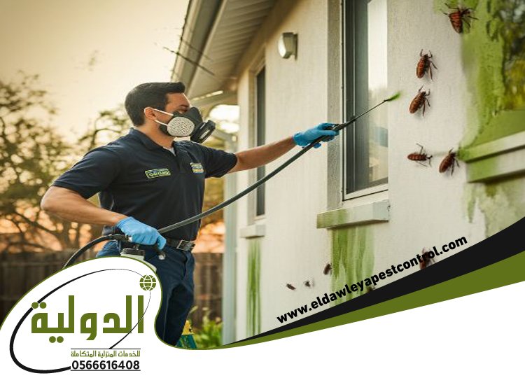 شركة مكافحة حشرات بحي الأجاويد 5 شركة مكافحة حشرات بحي الأجاويد