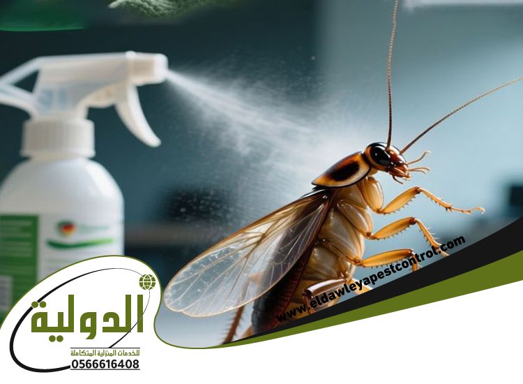 شركة مكافحة حشرات حي الفيصلية