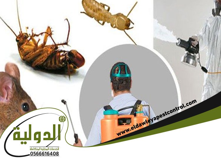 شركة مكافحة حشرات حي الروضه 3 شركة مكافحة حشرات حي الروضه