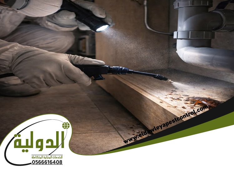 شركة مكافحة حشرات حي الروضه 65 خدمات المملكة