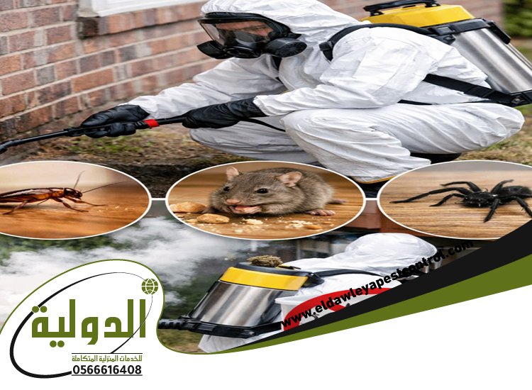 شركة مكافحة حشرات حي الروضه 5 شركة مكافحة حشرات حي الروضه