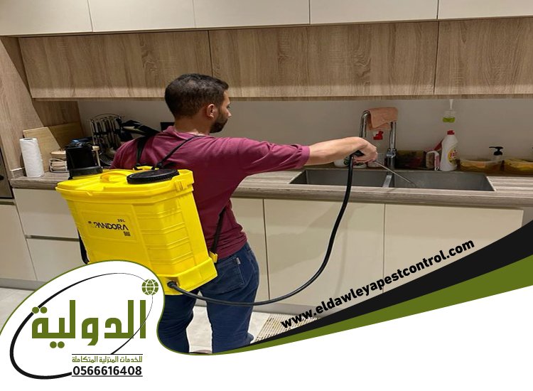 شركة مكافحة حشرات حي الشاطئ