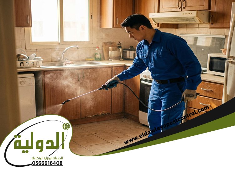 شركة مكافحة حشرات حي الشاطئ
