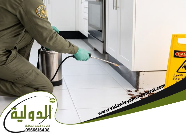 شركة مكافحة حشرات حي النهضة 3 شركة مكافحة حشرات حي النهضة