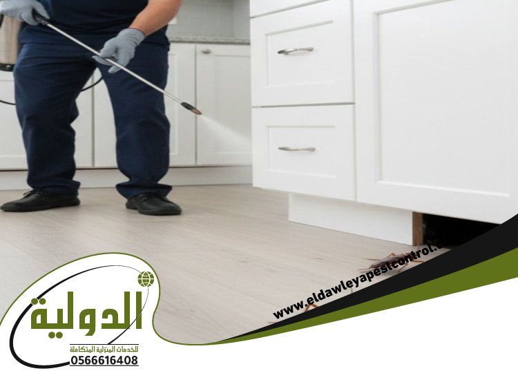شركة مكافحة حشرات حي النهضة 53 خدمات المملكة