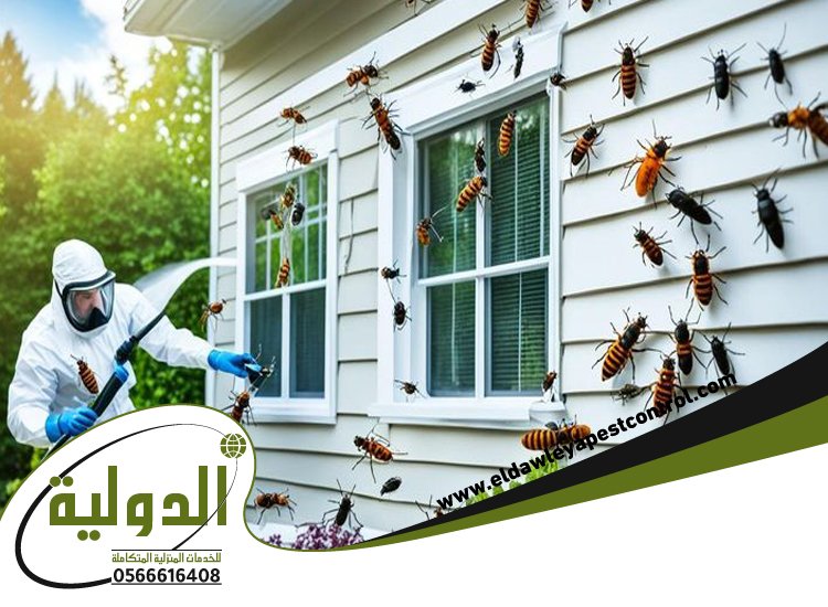 شركة مكافحة حشرات حي الفلاح 5 شركة مكافحة حشرات حي الفلاح