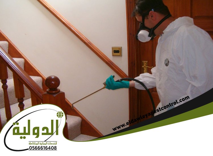 شركة مكافحة حشرات حي الواحة 4 شركة مكافحة حشرات حي الواحة