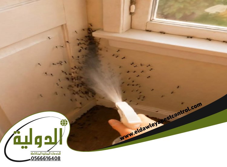 شركة مكافحة حشرات حي طيبه 33 خدمات المملكة