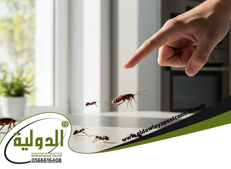 شركة مكافحة حشرات حي طيبه 3 شركة مكافحة حشرات حي طيبه