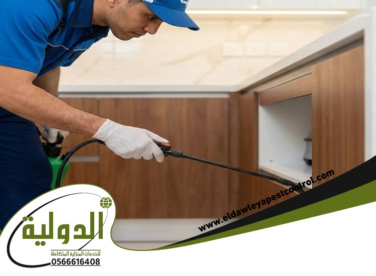 شركة مكافحة حشرات حي الياقوت 29 خدمات المملكة
