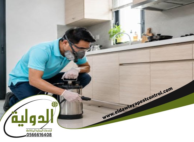 شركة مكافحة حشرات حي الياقوت